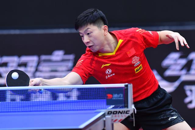 如果他们能 如果他们能